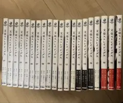 文豪ストレイドッグス1〜20巻 わん！1〜6巻