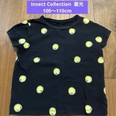 Insect Collection 蓄光　ほたる　半袖Tシャツ 100 110