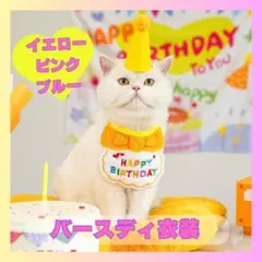 고양이 넥타이 생일 강아지 옷 강아지 모자 코스튬 사진 노란 고양이 1009