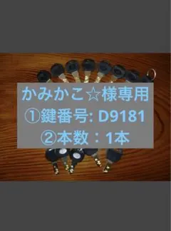 かみかこ☆様専用 ①鍵番号: D9181 ②本数：1本