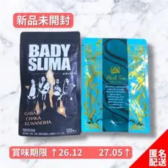 Item thumbnail for item 8de701e0-08eb-495e-926a-4b46e8f9ad1b