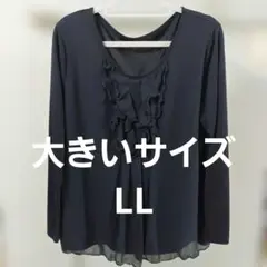 大きいサイズ黒長袖ブラウスLL