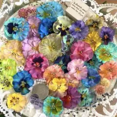 かなちゃん様 リクエスト 2点 まとめ商品