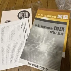 2025年最新】早稲アカ 夏期講習 小5の人気アイテム - メルカリ