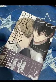 文豪ストレイドッグス 文スト 漫画 収納 ボックス まとめ売り 23巻