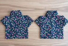 Item thumbnail for item 496a7116-e976-4312-aabc-524451697698