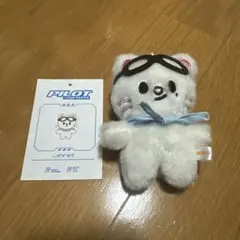 SKZOO StrayKids PILOT 10cm PLUSH ヒョンジン - メルカリ