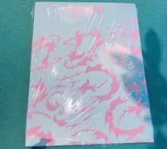 スキズ　DO it ITver. 通常盤　開封済み