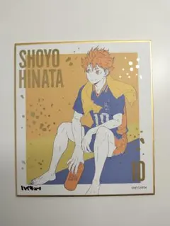 ハイキュー!! 日向翔陽 色紙