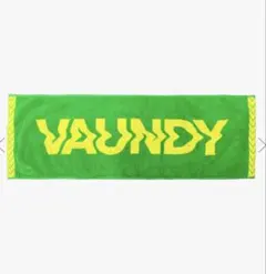 2026年最新】vaundy タオル グリーンの人気アイテム - メルカリ