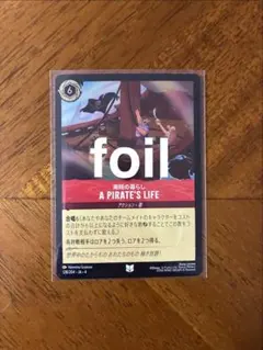 ロルカナ　海賊の暮らし　foil