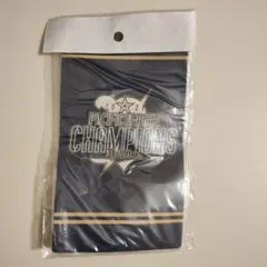 オリックス・バファローズ　チケットホルダー　2021年リーグ優勝