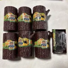 3D 昆虫パズル　第2段　6個＋外箱のみ開封済み未使用おまけ1個付
