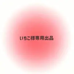 いちこ様専用出品