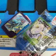 『期間限定』ポケモンフレンダ　ピック２枚セット