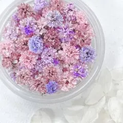 SARASA.様 リクエスト 2点 まとめ商品