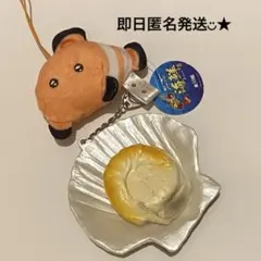 クマノミキーホルダー　ホタテキーホルダーセット