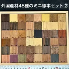 2026年最新】標本セットの人気アイテム - メルカリ