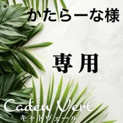【かたらーな様専用】のサムネイル