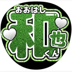 ぷりん 〜次回発送6月19日〜様 リクエスト 2点 まとめ商品