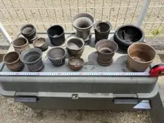 陶器鉢14点＆3Dプリンター鉢1点　計15点　多肉、塊根植物等用中古まとめ売りのサムネイル