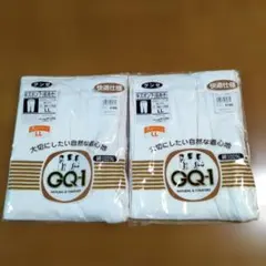 新品　グンゼ　紳士　半ズボン下　前あき　綿100% LL 2枚セット