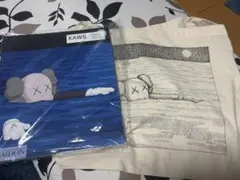 トート付き UNIQLO kaws カウズ ウォーホール アートブック 本 - メルカリ