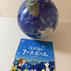 ♢  ワールドレップサービス アースボール　　 ブルー　50個 ワールドレップ アースボールブルー20個 【公式通販】