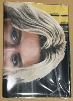 巨大布ポスター エレーナ フローレンスピュー サンダーボルツ マーベル