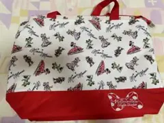 ⭐︎東京ディズニーランド ミニーのスタイルスタジオ カメラバッグ⭐︎