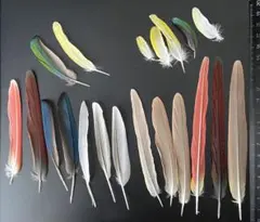 Item thumbnail for item f59d640b-a12f-46d5-8f9f-6674fa101229