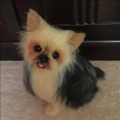 羊毛フェルト♡みぃ様専用♡