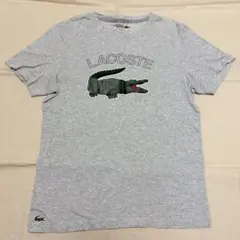 LACOSTE SPORT メンズTシャツ グレー