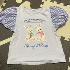 lapochebiscuitのサムネイル