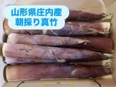 【山形県庄内産】朝採り唐竹（真竹 タケノコ）のサムネイル