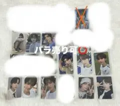 TWS シニュ トレカ まとめ