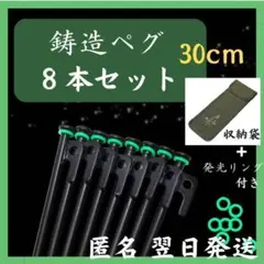 鋳造ペグ　30cm 8本セット　収納袋 蓄光リング付き　テント　タープ　ペグのサムネイル