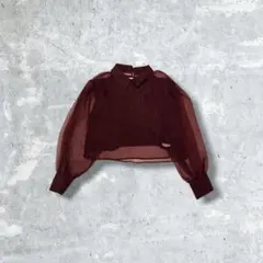 ZARA シースルーブラウス L ボルドー クロップド丈 透け感 シアー パフ袖