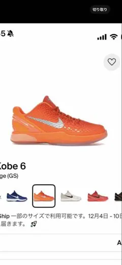 Nike Kobe 6 Protro 