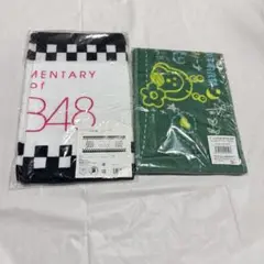 AKB48 タオル　2点セット
