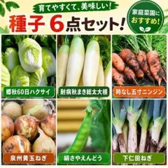 白菜、大根、ニンジン、玉ねぎ、絹さや、長ネギ 種子 6点セット！のサムネイル
