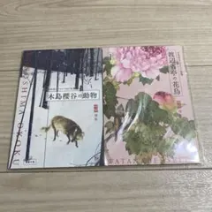 Item thumbnail for item 7b26ab49-a6f1-4300-a71d-39da2f691a6e