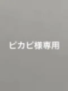 ピカピ様専用