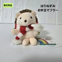 2025年最新】サンレモンウイングの人気アイテム - メルカリ