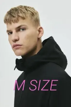 Item thumbnail for item 5eededed-3a3c-49be-88be-e29f657a34c7