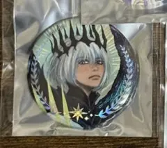 fgo 星見の回廊 オーロラカード 缶バッジ オベロン ジークフリート