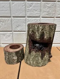 Item thumbnail for item f1ce464d-3e7f-4b60-8813-45af92870a3b