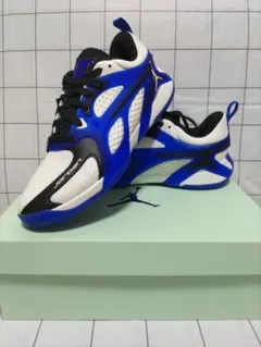 【新品】JORDAN　HEIR SERIES PF Blue　27.5cmのサムネイル