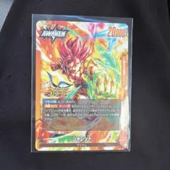 シャレット FB11-073 L