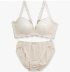 ブラジャーショーツセット　D70